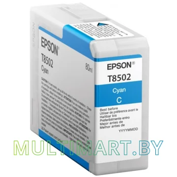 Картридж Epson C13T850200